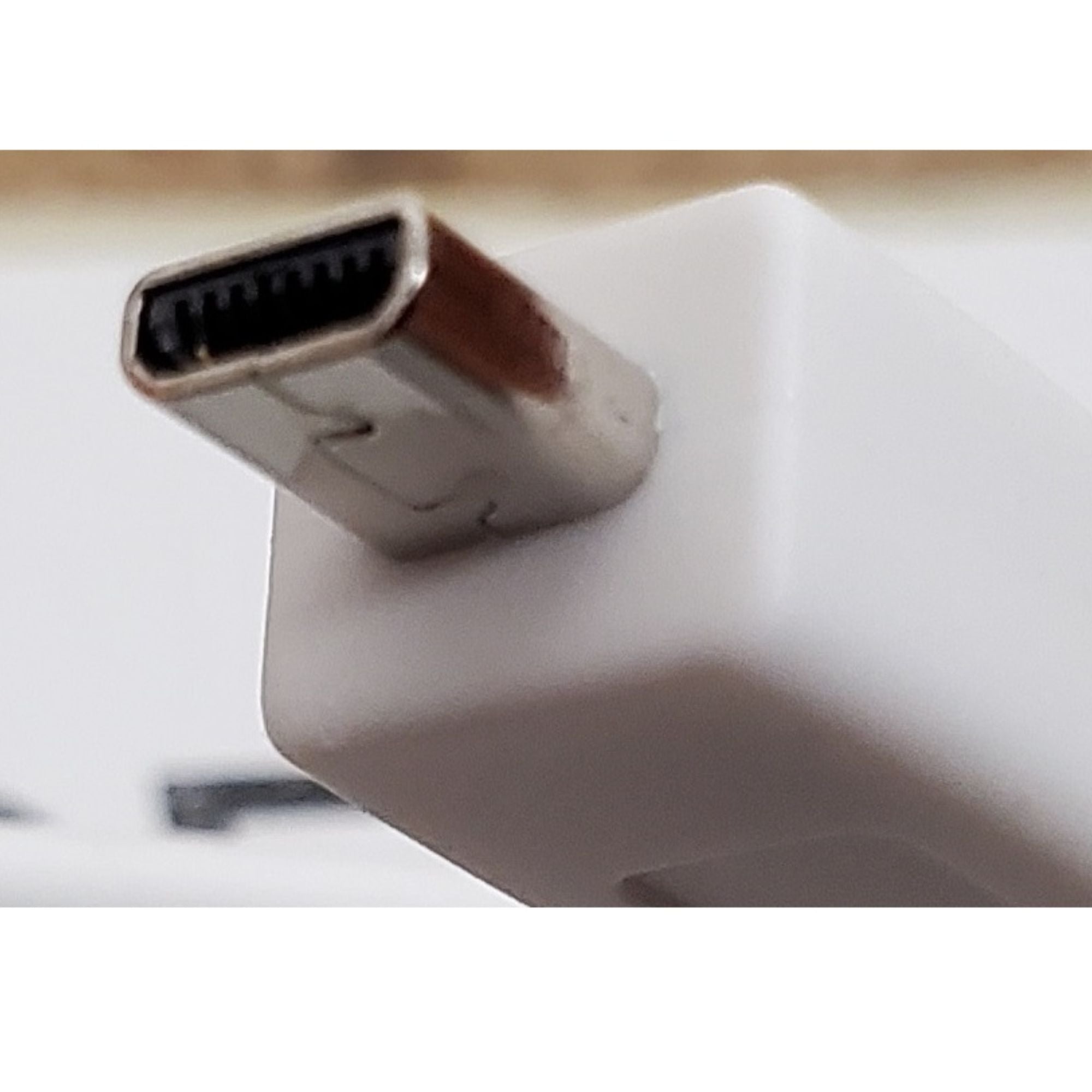 Câble de connexion USB-C Endo Free - WoodPecker