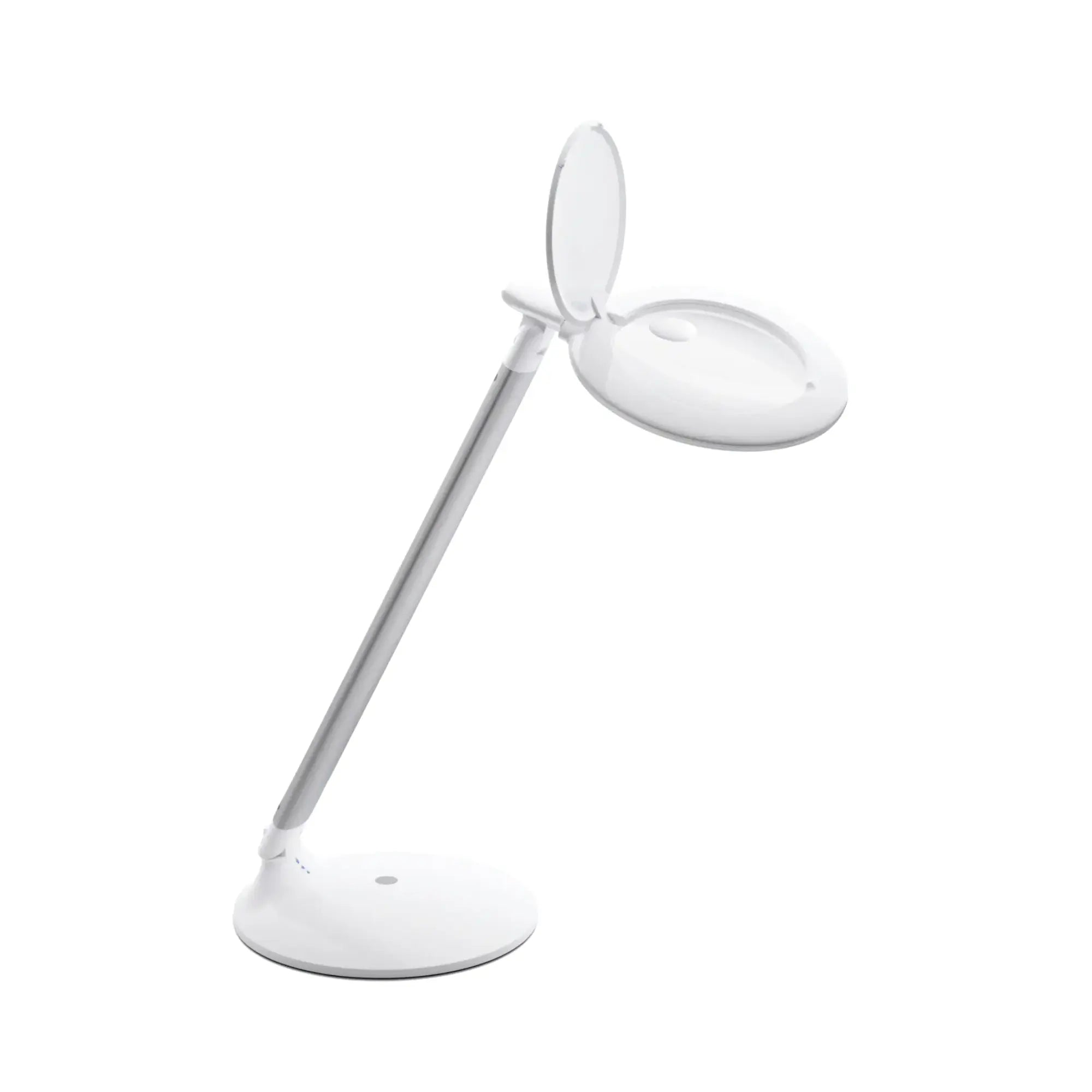 Desk Magnifying Lamp - Ruck