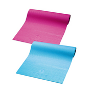 Tapigym - 170x60 cm - Deux coloris - Sveltus